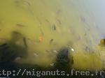 pict0064