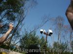 pict0067