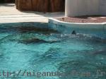 pict0072